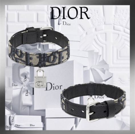 christian dior dog accessories.